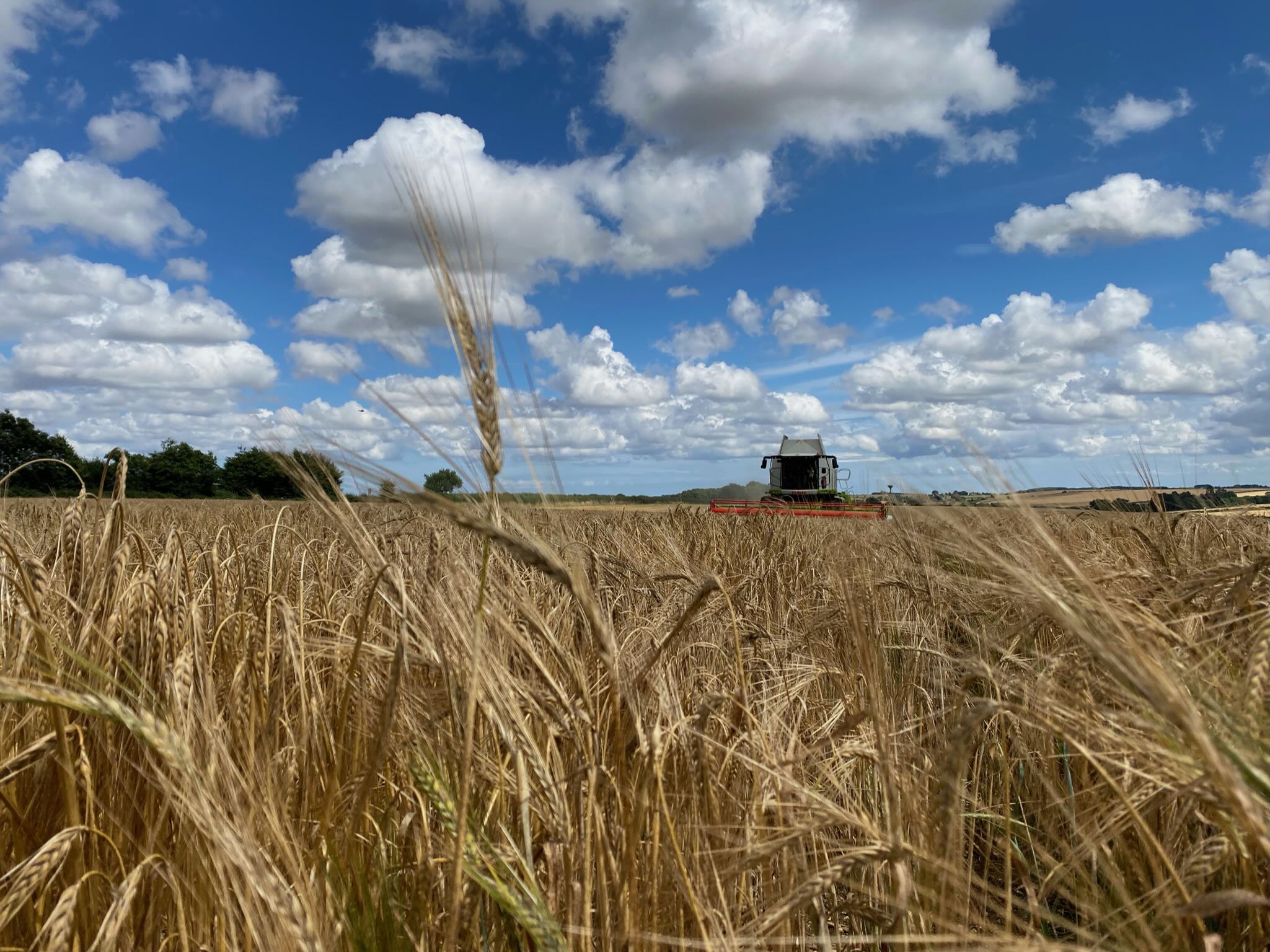 Combine on Highfield Farm